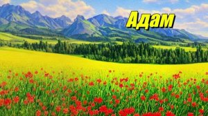 Адам