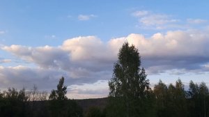 Вечером птицы поют