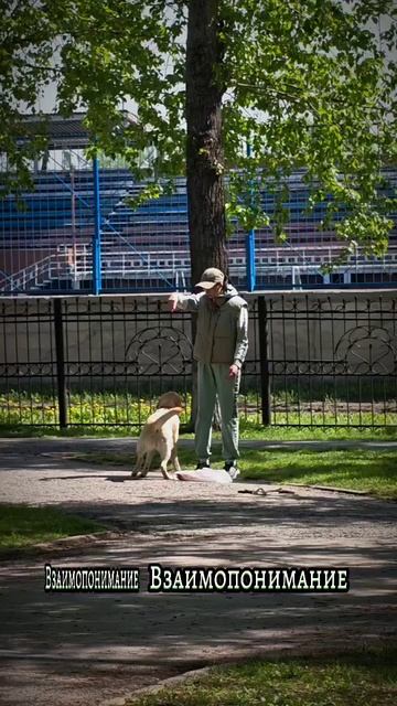 Взаимопонимание 😁