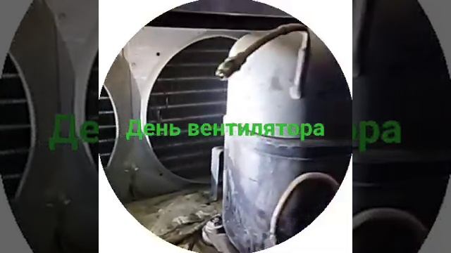 Флоренция ВХСп-1, 6 Витрина Холодильная Пристенная, час смотреть онлайн