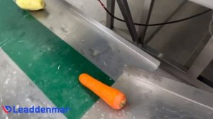 Овощечистка профессиональная Leaddenmar Kpel Line L2000