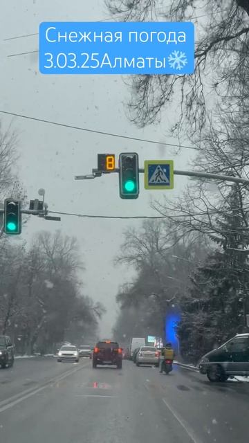 3.03.25 Алматы #almaty #погода #город #automobile #снег смотреть онлайн