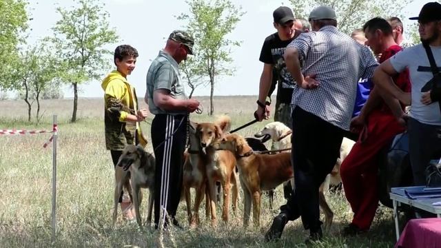 Третья районная выставка охотничьих собак «Левобережье -2023» в Приморске