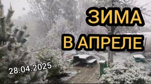 Зима в апреле. 28.04.2025