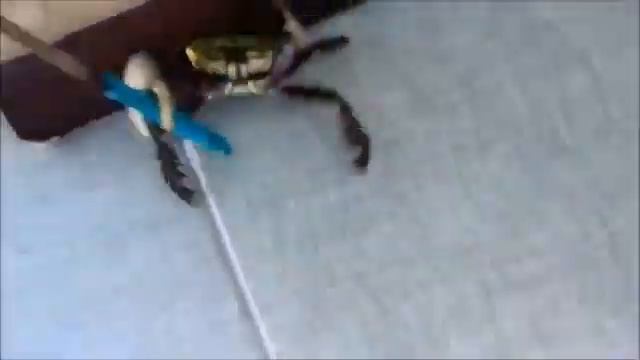 Краб убийца 18+ смотреть онлайн