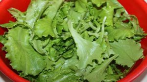 Микс салат с перцем и огурцом