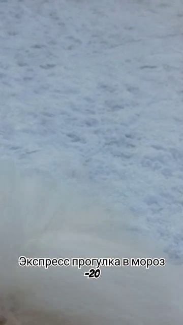 Мороз -20 но гулять всё равно очень хочется) #пенза #прод смотреть онлайн