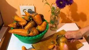 Как правильно хранить морковь в холодильнике. Самый у?