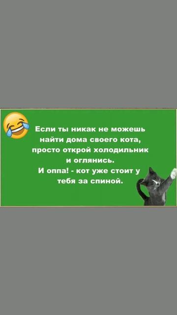 Анекдот про Кота и Холодильник #shorts #shortsvideo #anecdotes #anegdot смотреть онлайн