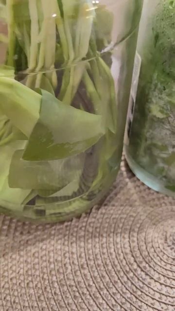 Зелень будет долго храниться, если вы поместите её в с? смотреть онлайн