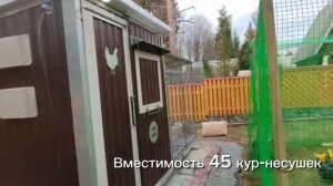 Каждый день - свежие, вкусные и экологически чистые яйца для семьи с курятником "Неделя без забот"