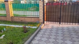 Потеплело☀️Первый покос газона🌿Всё высадила-посадила. Обход вокруг дома 🏡 Всего понемногу ☺️