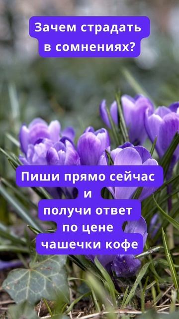 21.08.24: Фен Шуй прогноз для Вашего года рождения 💫#горо? смотреть онлайн