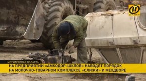 Как на ферме «Слижи» наводят порядок после приезда Лукашенко