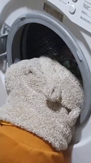 Доця изучает стиральную машинку / Земля в иллюминатор? смотреть онлайн