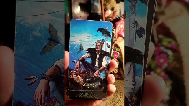 16 октября 2024 года Карта дня ❤️ Таро предсказание 🤗#202 смотреть онлайн