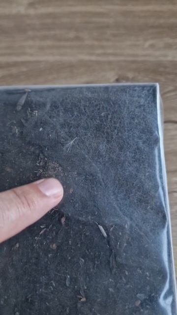 Зачем вентиляция? Окном нормально проветривать 😄 #ве? смотреть онлайн