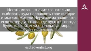 13 мая 2025. Мир Божий. Под сенью благодати _ Адвентисты