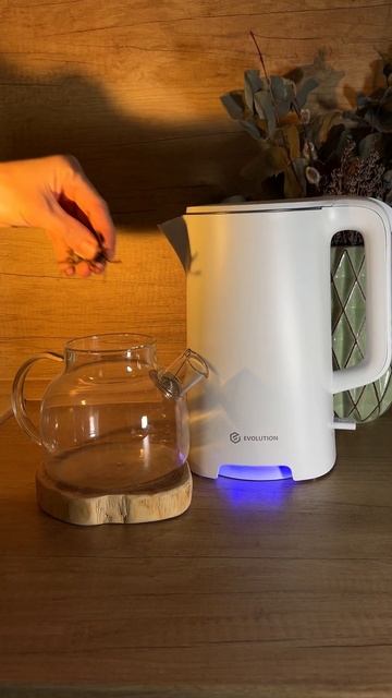 Приятная атмосфера с чайником Evolution KP18171 смотреть онлайн