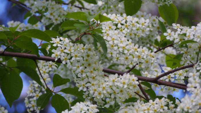 ПОЕЗДКА НА МАШИНЕ