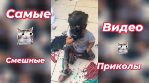 Самые смешные видео приколы