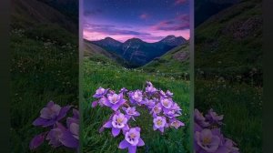 Характеристика человека рождённого 1 июня