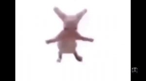 ТЁЛКИ СНИМАЙТЕ ТРУСЫ