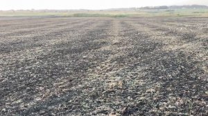 Почему всегда диагональ? | Осеннее дискование полей | Н