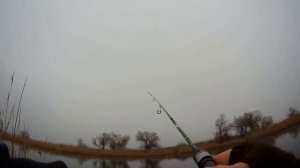 Dayo Delicate Travel 185см 0.5-5гр и катушка Dayo Prestige 800 Бюджетный сп?