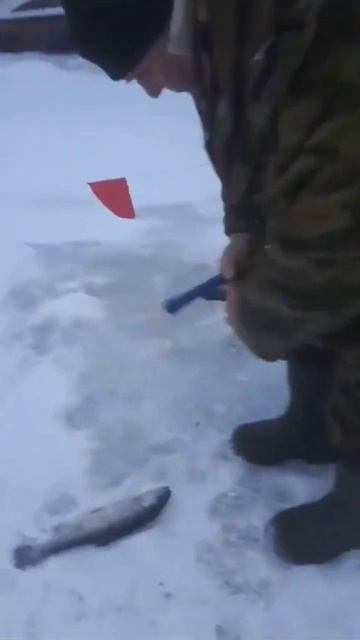 рыбацкий Кордон на подъёме смотреть онлайн