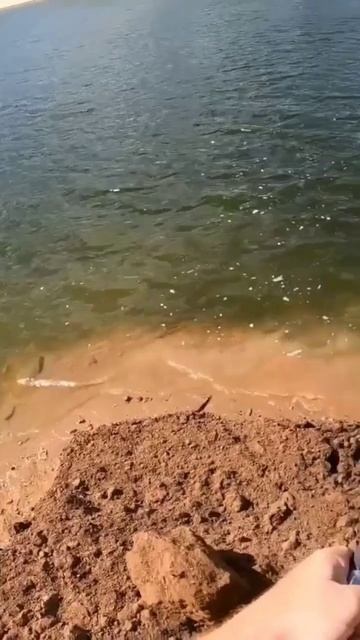 Крупный АМУР на жмых. #ловля #рыбалка#shorts смотреть онлайн