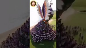 ⭐️✨️🌟💫💃💃💃