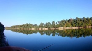 Рыбалка на реке Кубань - жерех , щука .