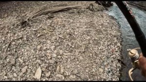 Ловля ленка .