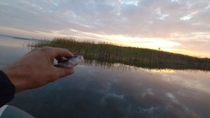 Ловля окуня с лодки вечером осенью с лодки на отводной