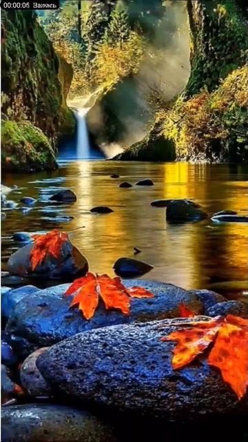 Самый красивый природа в мире 🌳☘️🏞️💯💚💙💜 смотреть онлайн