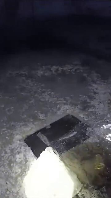 7 января озеро родник Алматинская область пос Койшибе? смотреть онлайн