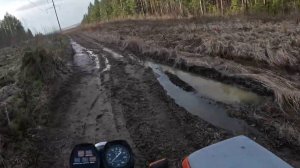 13.04.2025 ИЖ Юпитер 5, по лесу с детьми, упавшие деревья, грязь, лужи.