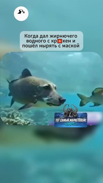 Что за вид рыб такой ? #кракен #рыбалка #рыба #море #океа? смотреть онлайн