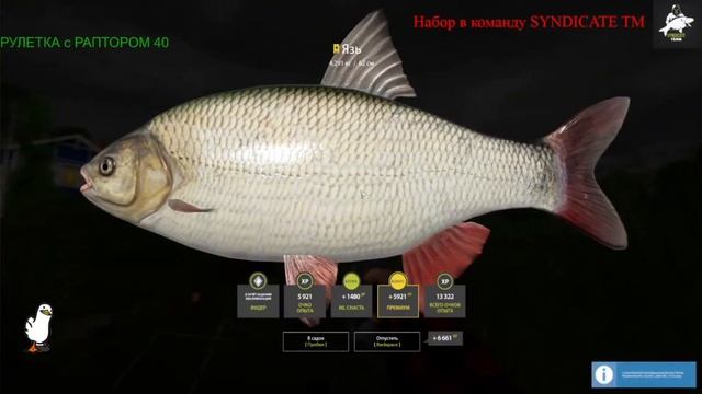 ТРОФЕЙНЫЙ ЯЗЬ ЗА ПОЛ ЧАСА смотреть онлайн