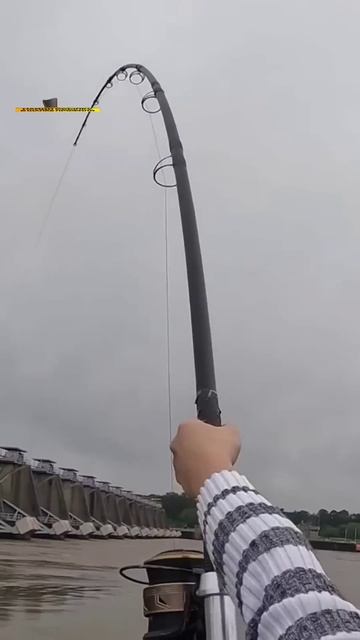 Такого муж не ожидал.... смотреть онлайн