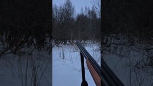 Открытие охоты. Иж(мр) 27 фермер. Весенняя охота 2025. Вече