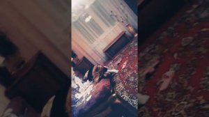 Пранк со скотчем 😅😅😅