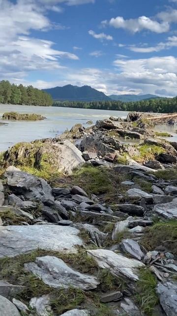 МОЁ РАБОЧЕЕ МЕСТО СЕГОДНЯ ВЫГЛЯДИТ ТАК смотреть онлайн