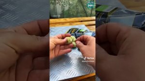 Как правильно использовать ПВА стиками бойлами?#карп#?