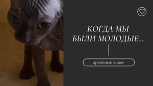 КОГДА МЫ БЫЛИ МОЛОДЫЕ...