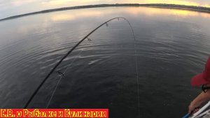 ЛОВИМ ЩУКУ И ОКУНЯ С ЛОДКИ НА БЛЕСНУ ВЕРТУШКУ НА ОЗЕРЕ