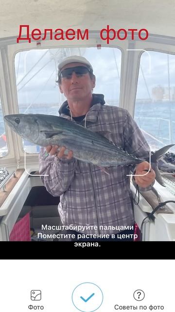 Как узнать что за рыба? смотреть онлайн