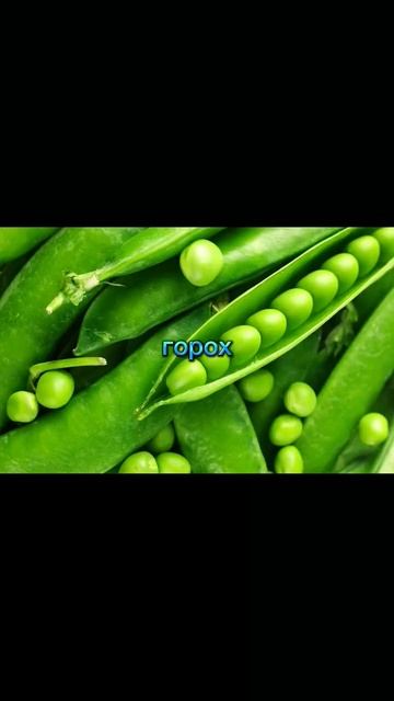 на что ловить карпа#shorts #рыбалка #reels смотреть онлайн