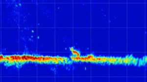 Как ведёт себя судак зимой часть 3 (Сенеж)